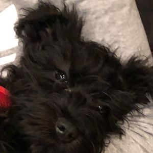 Meet your Posher, Jack